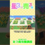 ＃あつ森 ＃あつ森攻略講座 ＃あつ森裏技 #あつ森ベルの稼ぎ方 #あつ森条例
