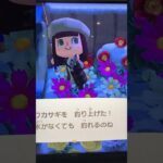 ナイトルーティンです✨#あつ森 #あつまれどうぶつの森