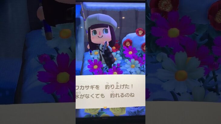 ナイトルーティンです✨#あつ森 #あつまれどうぶつの森