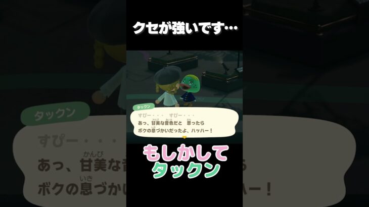 真面目な感じでずっとボケてる…？【あつ森】