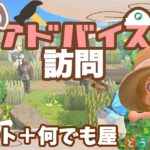 【あつ森】島訪問島クリアドバイス｜何でも屋さなち｜ライブ【あつまれどうぶつの森】