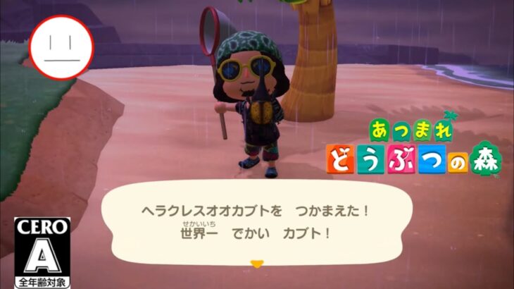 【あつ森】今日はどれくらい獲れるかな？サカナとムシ～