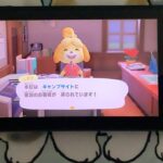 のんびりあつ森でゆったり島なう