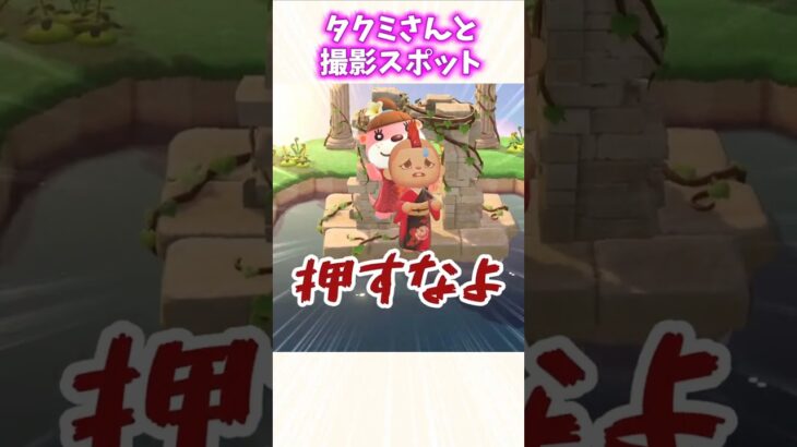 絶対！！ここで絶対やるだろ！！ 【あつ森】