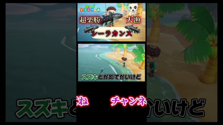 シーラカンスチャレンジ開始！#あつまれどうぶつの森 #あつ森 #どうぶつの森 #ゲーム実況 #ゲーム