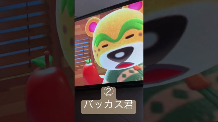 #霊菜猫妖 #あつ森 好きなキャラランキング #茶番ねよ