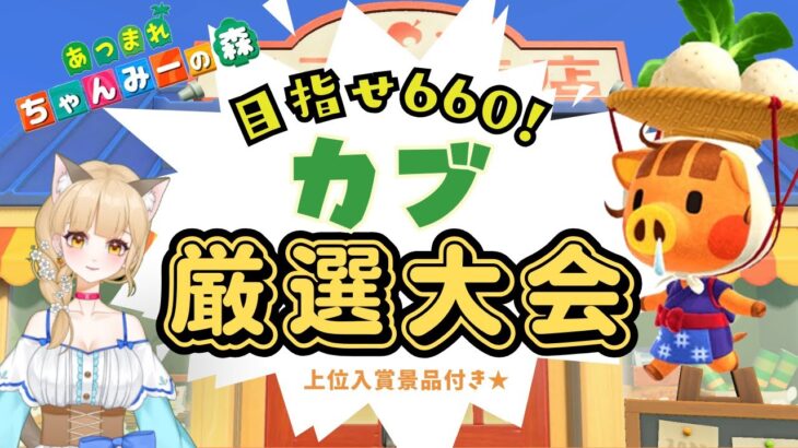 【#あつ森】景品付き💛カブ厳選大会はじまるよー！！