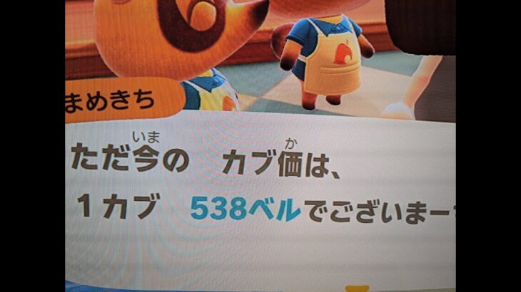 【あつ森】カブ５３８島開放中！高評価、チャンネル登録で無料です！