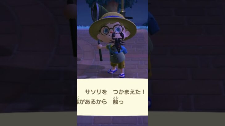 【あつ森】夜の広場でサソリをつかまえたよ！【あつまれどうぶつの森】 #あつ森　#どうぶつの森
