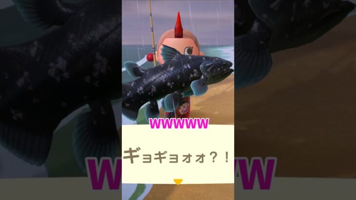 デカすぎ！！釣りが楽しすぎる！！【あつ森】