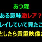 【あつ森】ある意味激レア？長くプレイしていて見たことない。ひょっとしたら貴重映像かも？#あつ森