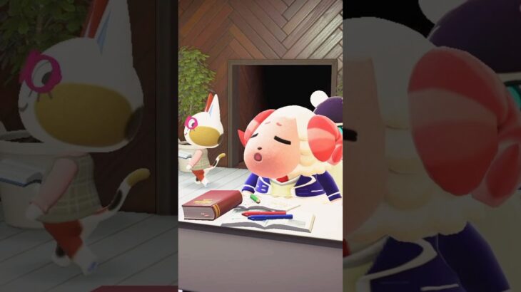 【あつ森】学校で勉強中のちゃちゃまる🐾