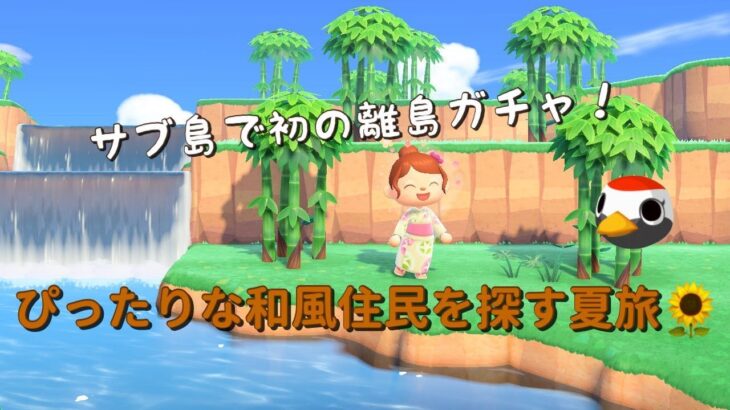 【あつ森】離島ガチャ！サブ島にぴったりな和風住民を探すライブ配信🌻【あつまれ どうぶつの森】【@シンタ】