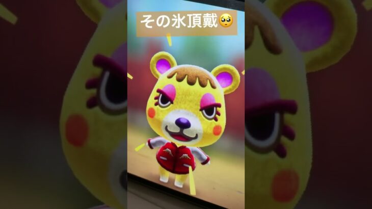 #霊菜猫妖 それちょーだい🥺 #あつ森 #茶番ねよ