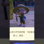 【あつ森】くわぁー！オウゴンオニクワガタをつかまえたよ！【あつまれどうぶつの森】 #あつ森 #あつまれどうぶつの森