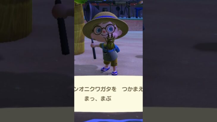 【あつ森】くわぁー！オウゴンオニクワガタをつかまえたよ！【あつまれどうぶつの森】 #あつ森 #あつまれどうぶつの森