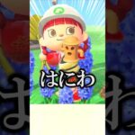 違う！！化石を掘りたいんだ！！【あつ森】