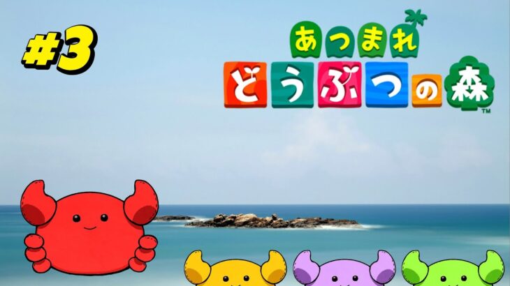 ようやくこの無人島に博物館が建つ【あつまれどうぶつの森】