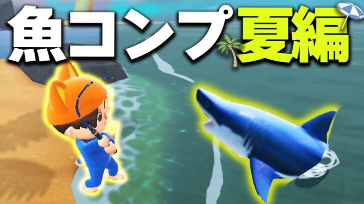 【あつ森】魚コンプ夏！その１【あつまれどうぶつの森】