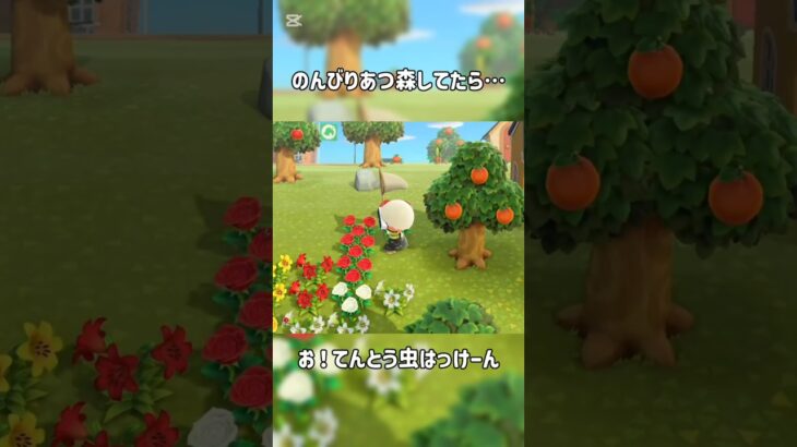 のんびりあつ森してたら… #あつ森