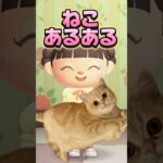 ねこあるある-ペットに遊ばれるパパ/あつ森アニメ#あつまれどうぶつの森