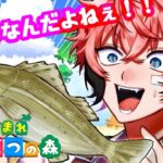 【あつまれどうぶつの森】スズキだけは勘弁してください！ ＃５１【にじさんじ / 赤城ウェン】