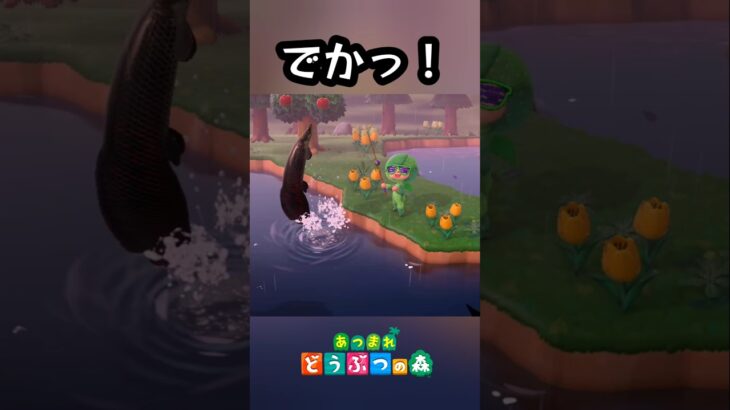 でかすぎだろっっ！【あつ森】