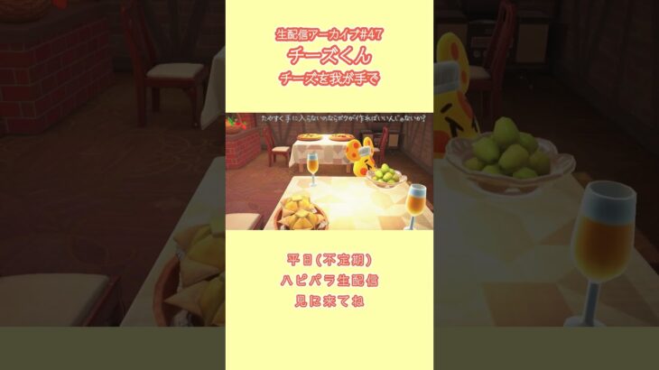 【あつ森】生配信アーカイブ#４７チーズくん【ハピパラ】