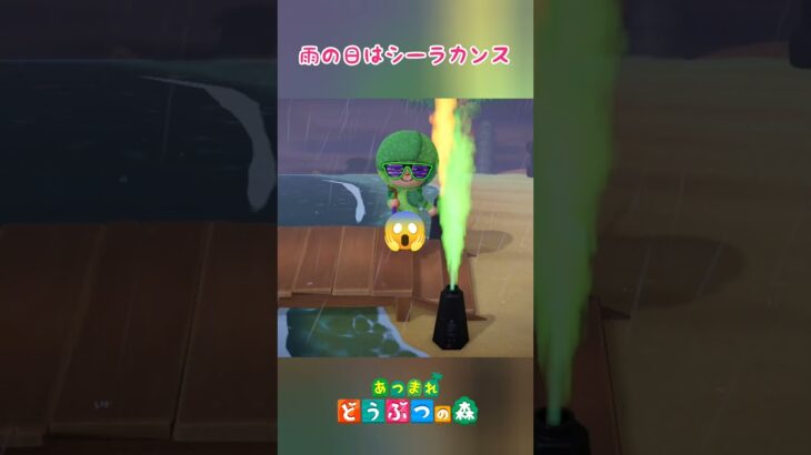 雨の日はシーラカンス【あつ森】