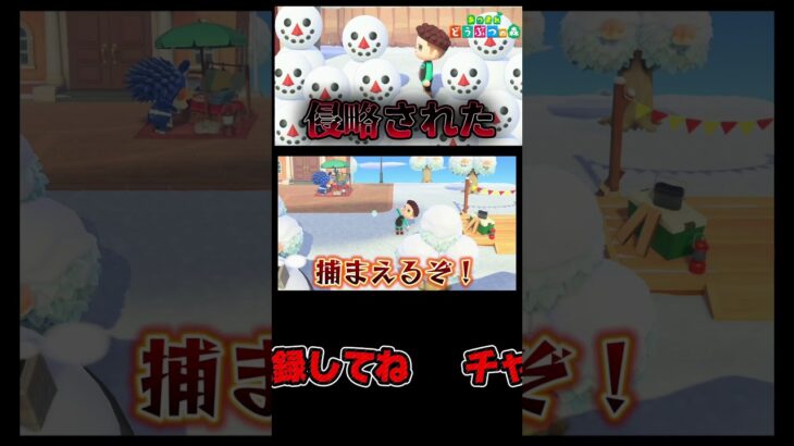 冬限定の奴を捕まえる！ #あつまれどうぶつの森 #あつ森 #どうぶつの森 #ゲーム実況 #ゲーム