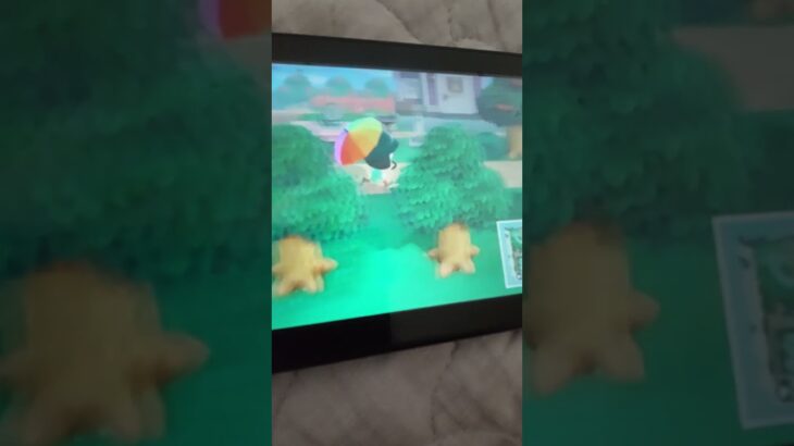 あつ森