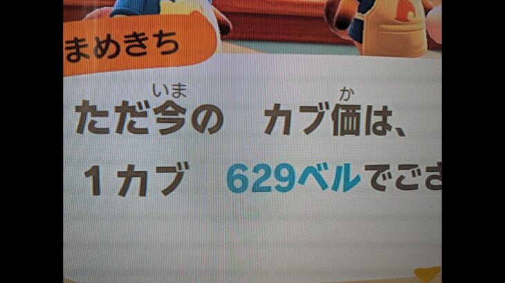 【あつ森】カブ６２９島開放中！高評価、チャンネル登録で無料！