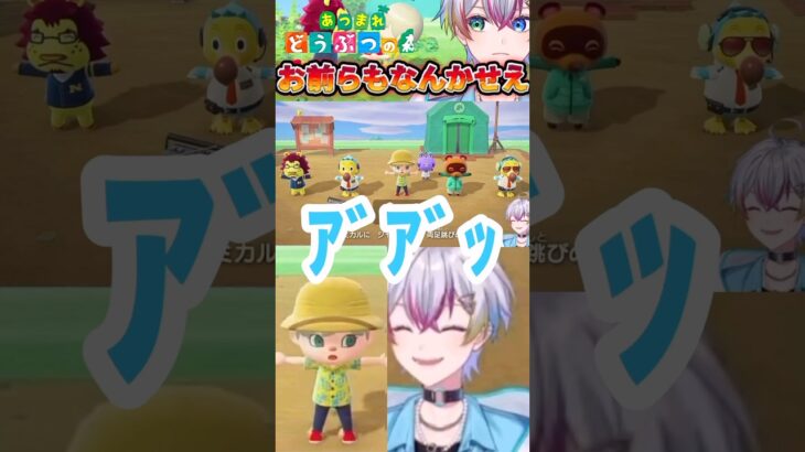 すたぽら🌟れるくん切り抜き【あつ森】ジョイコンでラジオ体操