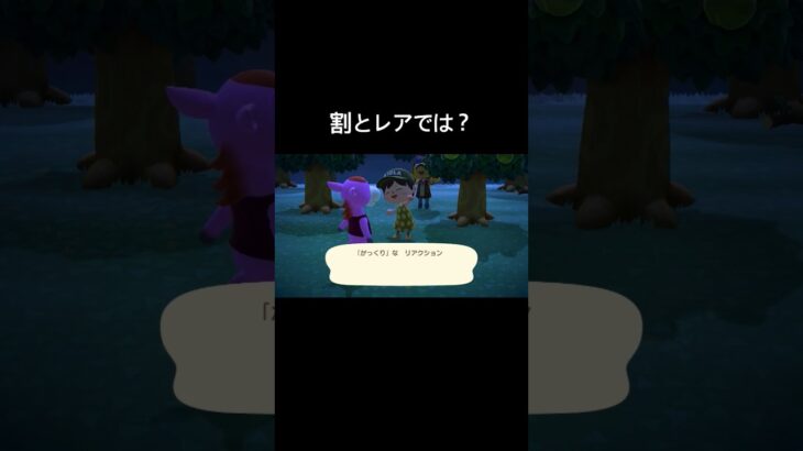 パニーに話しかけない民[あつ森]