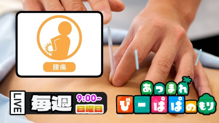 【 あつ森・⑤④⓪】 アソパソマソ～‼ 新しい腰よ～📢って腰交換してくれへんかな