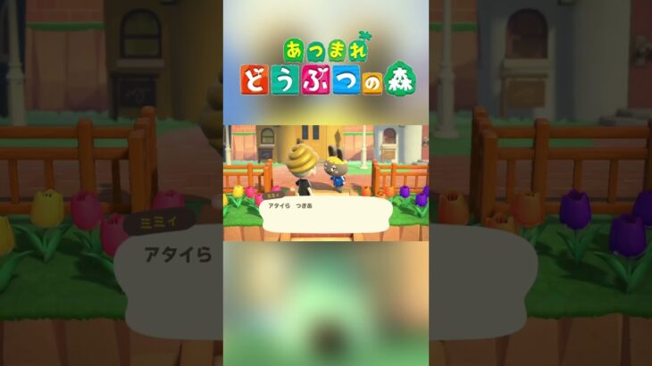 【あつ森】ミミィにいろんなこと言わせてみた！ショートver #shorts #あつ森 #あつまれどうぶつの森