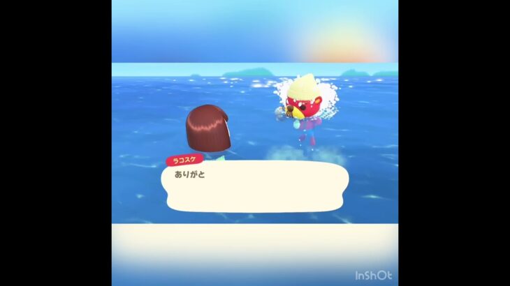 今日のラコスケの言葉　#vlog #あつ森 #あつまれどうぶつの森 #animalcrossing #こはくちゃんねる2424