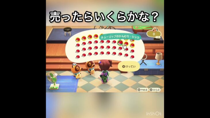 チューリップのかんむりシック売ったらいくらかな？　#vlog #あつ森 #あつまれどうぶつの森 #animalcrossing #こはくちゃんねる2424 #acnh #asmr