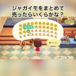 売ったらいくらかな？　#vlog #あつ森 #あつまれどうぶつの森 #animalcrossing #こはくちゃんねる2424 #acnh #asmr #shorts