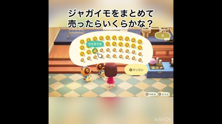 売ったらいくらかな？　#vlog #あつ森 #あつまれどうぶつの森 #animalcrossing #こはくちゃんねる2424 #acnh #asmr #shorts