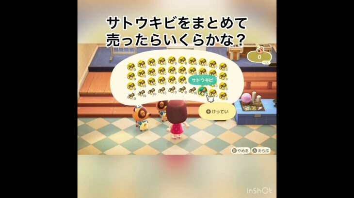 売ったらいくらかな？　#vlog #あつ森 #あつまれどうぶつの森 #animalcrossing #こはくちゃんねる2424 #acnh #asmr #shorts