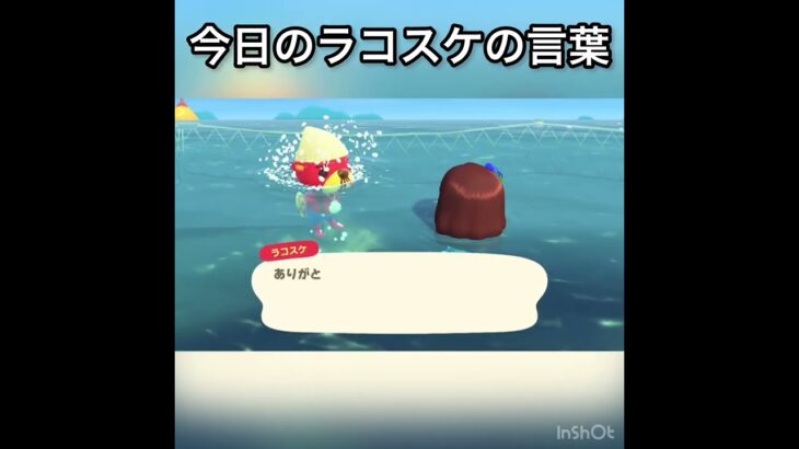 今日のラコスケの言葉　#vlog #あつ森 #あつまれどうぶつの森 #animalcrossing #こはくちゃんねる2424 #acnh #shorts