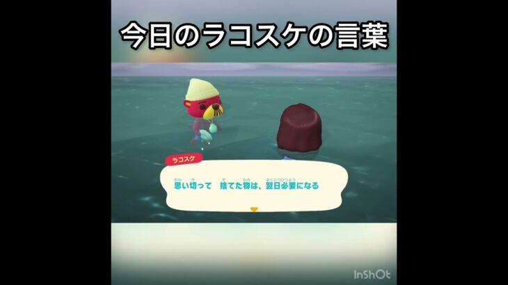 今日のラコスケの言葉　#vlog #あつ森 #あつまれどうぶつの森 #animalcrossing #こはくちゃんねる2424 #acnh #shorts