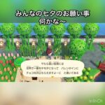みんなの七夕のお願い事は何かな〜　#vlog #あつ森 #あつまれどうぶつの森 #animalcrossing #acnh #shorts #こはくちゃんねる2424  #4