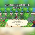 みんなの七夕のお願い事は何かな〜　#vlog #あつ森 #あつまれどうぶつの森 #animalcrossing #acnh #shorts #こはくちゃんねる2424 #7