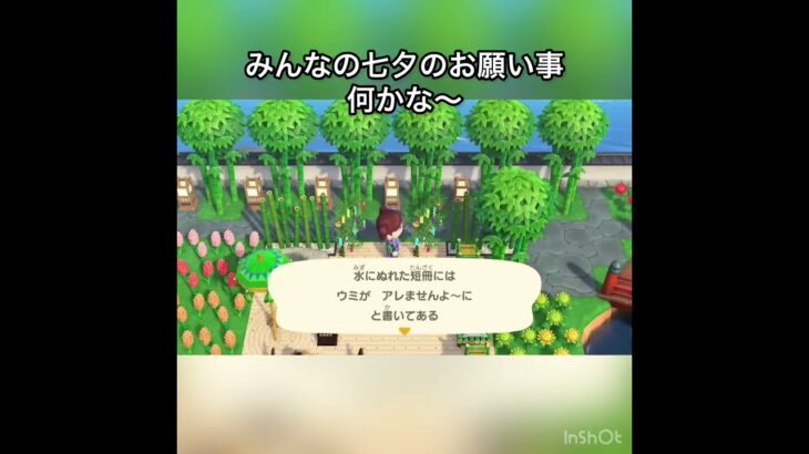 みんなの七夕のお願い事は何かな〜　#vlog #あつ森 #あつまれどうぶつの森 #animalcrossing #acnh #shorts #こはくちゃんねる2424 #7