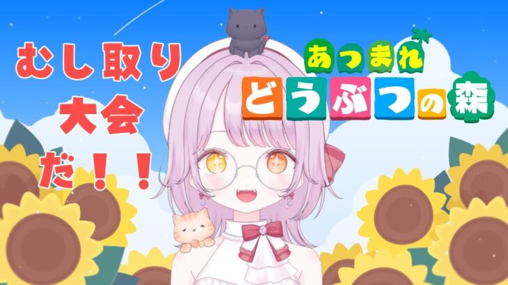 【あつまれ どうぶつの森】虫とり大会だー！網を持てー！！なあつ森配信vol.32【葵音琴葉】