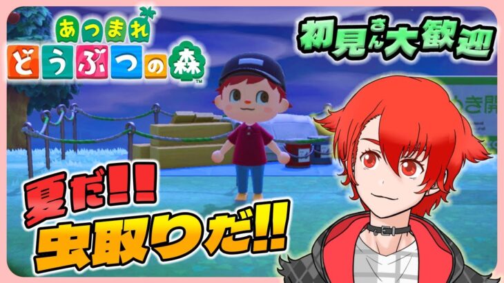 【あつ森】はじめてのあつ森 店オープン！夏だし虫捕まえたい!! #あつまれどうぶつの森 #雑談 #vtuber #初見さん大歓迎