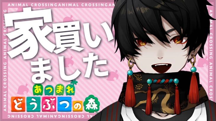 【あつ森】初めてのマイホーム！ まったり実況【環ソル/#新人vtuber】