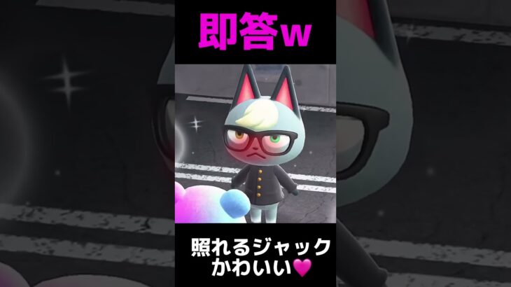 あつ森　ジャックがみすずに告白で即答するw ※ゆっきー